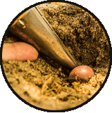 Planting